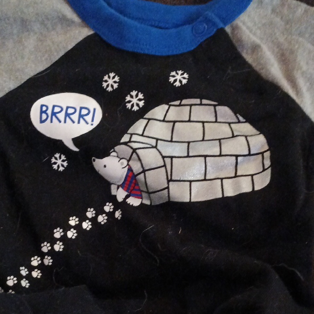Garanimals Black Shirt with Blue Collar and Igloo Graphic